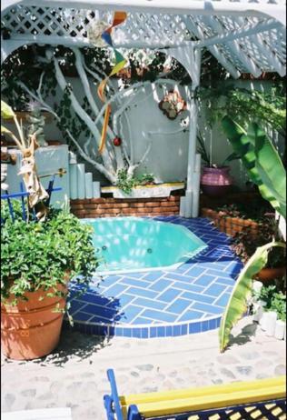 Villa Welcome To Casa Viva Mexico 3-bedrooms 2-bathroms 6-guests Close To Shoping Center &