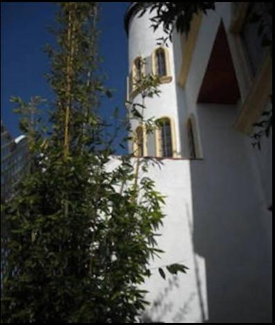 Welcome To Casa Viva Mexico 3-bedrooms 2-bathroms 6-guests Close To Shoping Center &